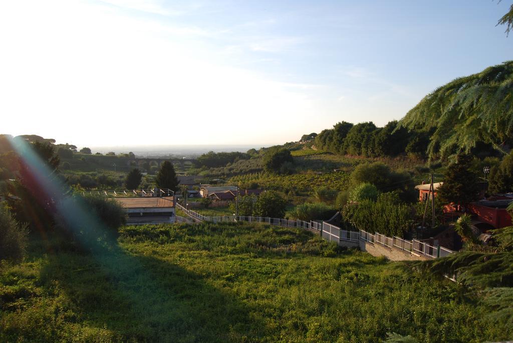 I Due Leoni Hotel Marino Cameră foto